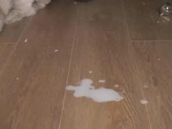 agent_blonde chaturbate stream image