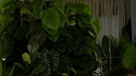 KellyMathews stripchat stream image