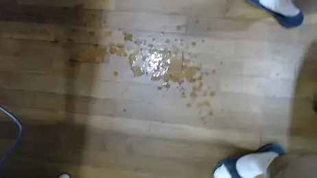 16hornydog stripchat stream image