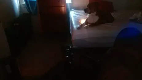 DADDY_KANE8--- stripchat stream image