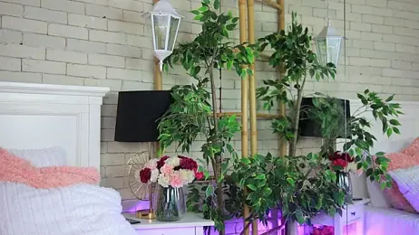 EmillyBronte stripchat stream image, 19.01.2026 20:10