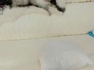 maryelle camsoda stream image, 31.01.2026 19:40