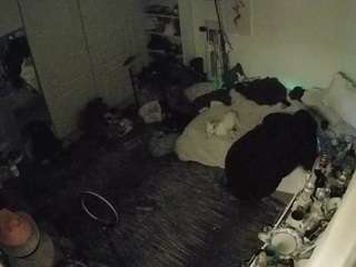 voyeurcam-hornyhostel-02 camsoda stream image, 01.02.2026 19:30