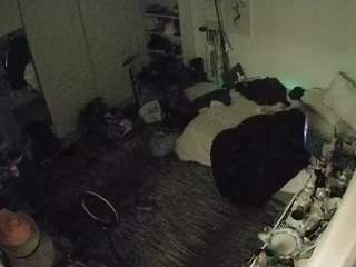 voyeurcam-hornyhostel-02 camsoda stream image, 01.02.2026 19:30