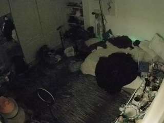 voyeurcam-hornyhostel-02 camsoda stream image, 01.02.2026 19:30