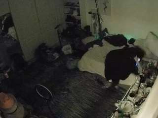 voyeurcam-hornyhostel-02 camsoda stream image, 01.02.2026 19:30