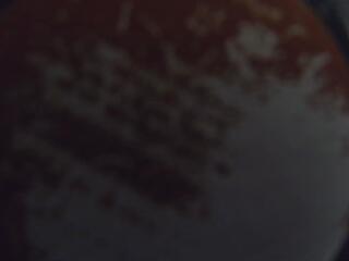 Mikyy Lovee flirt4free stream image