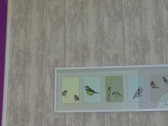 XKimoraX bongacams stream image, 04.03.2026 22:20