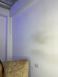 young_liza stripchat stream image