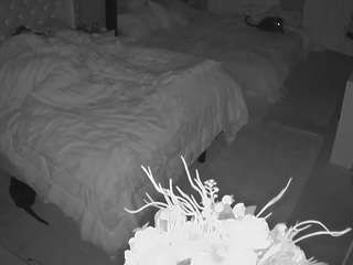 voyeurcam-house-charleys-room camsoda stream image, 14.03.2026 00:20