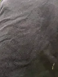 PIGHIGHDIRTY_p0 stripchat stream image