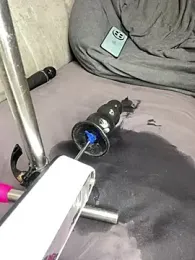 Lola_Hale stripchat stream image, 31.03.2026 19:10