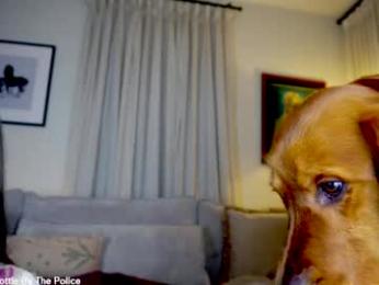 x_lily_x chaturbate stream image, 31.03.2026 22:10