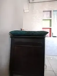 Dalou3a-69 stripchat stream image, 01.04.2026 11:50