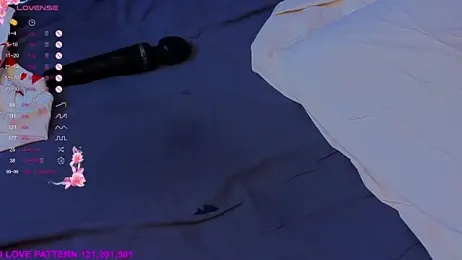 Hollara_Bangg stripchat stream image, 14.04.2026 04:20