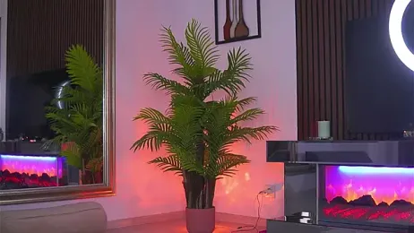 Abbela_White stripchat stream image