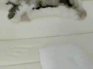 maryelle camsoda stream image