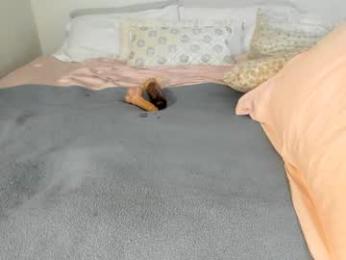 sexxylaurab chaturbate stream image