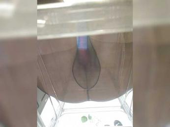 NATASECRET bongacams stream image