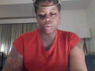 stalliontheesavage camsoda stream image