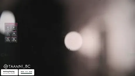 taanni_bc stripchat stream image