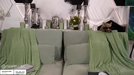 taanni_bc stripchat stream image