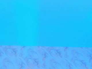 alyssia-collins camsoda stream image, 07.02.2025 11:30