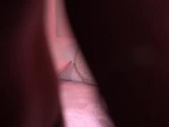 sary_hott chaturbate stream image